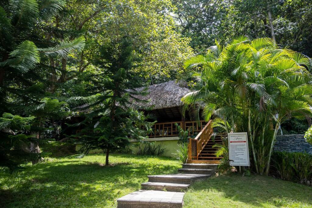Villa Victoria Jarabacoa Exterior photo